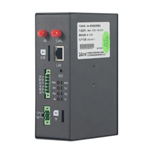 Anet-1E2S1-4G/LR智能通信管理机1网口2串口带4G和LR